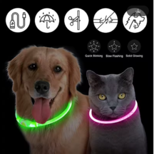 COLLAR LUMINOSO PARA MASCOTA